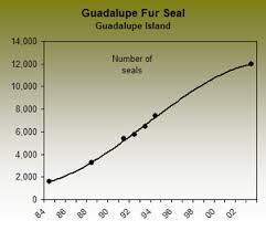 Endangered Species Guadalupe Fur Seal
