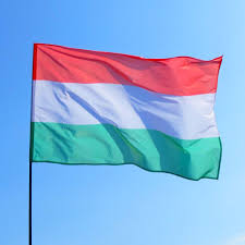 Флаг венгрии — один из государственных символов венгрии. Flag Vengrii Kupit I Zakazat Flagi In Ua