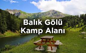 Artvin savsat haberleri ve savsat ilçesi ile ilgili güncel gelişmeleri bu sayfa üzerinden takip edebilirsiniz.son dakika artvin savsat haberleri sabah.com.tr'de. Balik Golu Kamp Alani Artvin Savsat Pinarli Kamp Yerleri