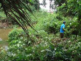 *kemaskini / update aplikasi semak saman bagi tahun 2017 *rekabentuk menarik. Apm Setiu Pa Twitter Ajk Kg Sedang Menebas Semak Samun Di Alur Sungai Blkg Sk Kg Besut Azwanpokdilah Zubirjuzadjpam Jpamtwiter Jpamganu Http T Co Yixztidi