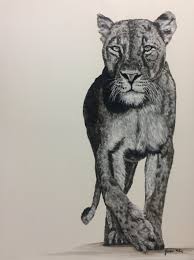 Leonessa Bianco E Nero Acrilico Su Tela Dipinto Da Grassi Katia Bianco E Nero Dipinti Su Tela Animali
