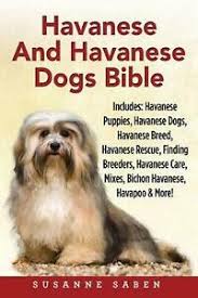 Yes, they really do have those little faces as shown in the pictures, and … Havanese And Havanese Dogs Bible Includes Havanese Puppies Havanese Dogs Hav 9781911355083 Ebay