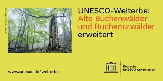 Unesco says 'in danger' listing would be 'call to action' on great barrier reef. Gih2q Oq5fpxgm