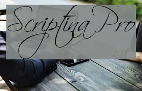 Bellissima script pro is a complete font with almost 2000 characters full of alternates, swashes, ligatures & ornaments covering a wide palette of latin languages published at sudtipos. Scriptina Pro Font Ffonts Net