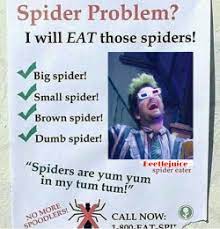 If you don't let me gut out this house and make it my own, i will go insane, and i will take you with me! Pin By Ms Anthropic03 On Beetlejuice Musicals Funny Beetlejuice Lydia Beetlejuice