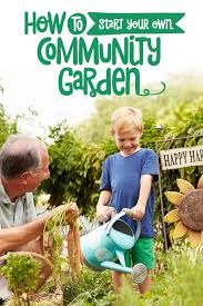 How to create a community garden: How To Start A Community Organic Garden Nature S Path Community Gardening Horticulture Therapy Organic Gardening