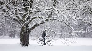 Wenn sie vermieter sind, dann haben sie die möglichkeit, die schneeräumpflicht auf ihre mieter umzulegen und einen plan für den winterdienst zu erstellen. Schnee In Nrw Winter Wetter Mit Frost Und Glatte In Vielen Stadten Service