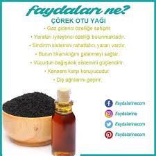 Yag Corekotu Corekotun Yagininfaydalari Faydalari Zararlari Faydalarine Faydalarine Otlar Saglikli Yasam Tarzi Saglikli Ogunler