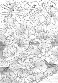 Printable interior coloring page, adult coloring book, plants and cat colouring sheet, instant download, bohemian interior tanyariarey 5 out of 5 stars (412) $ 2.18. Pin On Pattern