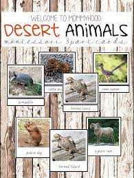 29 Animals Desert Animals Ideas Desert Animals Deserts Animal Habitats