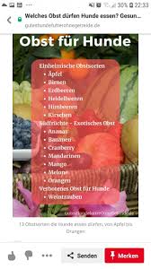 Pin Von Tanja Dill Auf Hunde Tips In 2020 Exotisches Obst Hund Essen Heidelbeeren