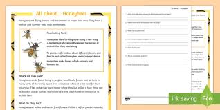More activities, lesson plans, and worksheets. Honeybee Reading Comprehension Teacher Made