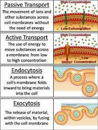 Passive And Active Cell Transport Word Wall Cards Diffusion And Osmosis Etc Teaching Biology Biology Lessons Study Biology