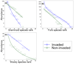 Image result for Erythrococca trichogyne