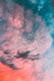 70 000 Best Banner Background Photos Free To Download Pexels Stock Photos