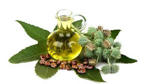 Eggs can be used alone or in combination with other natural ingredients to treat hair loss. Castor Oil For Hair Fall Interesting 9 Ways To Use Castor Oil For Hair Fall Loss Mybeautynaturally