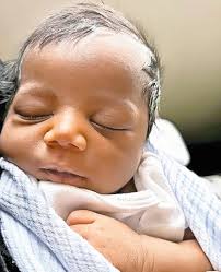 Freeport Herald 08-01-2024 by Richner Communications, Inc