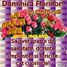 Anemona, brânduşa, camelia, codrin, codrina, codruţ, codruţa, crăiţa, crina, crinu, crizantema, adelia, dalia, delia, floarea, flora, florenţa, florentin, florentina, florica, florin, florina. Mircea Vasilescu Picmix