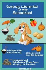 Schonkost Fur Den Hund 5 Rezepte Mit Tipps Schonkost Hundefutter Selber Kochen Lebensmittel