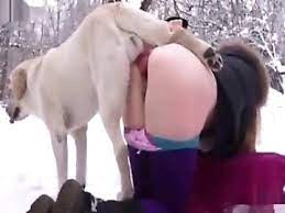 video zzz porn bestiality vids free watch