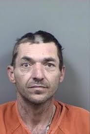 Homosassa man accused of reaching for deputy's sidearm while resisting  arrest