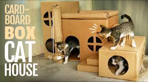We did not find results for: Cat House Diy Cardboard Box Ideas Youtube