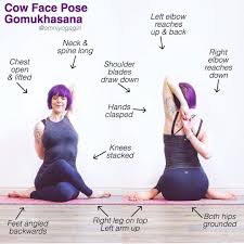 In This Weeks Edition Of Triyogaschool We Are Studying Cowfacepose Or Gomukhasana Cow Face Pose Stretches The Shou Cow Face Pose Face Yoga Yoga Asanas