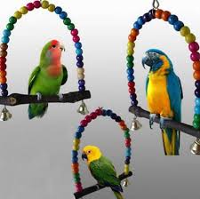 Details About Wood Swing Bird Toy Parrot Cage Toys Finch Parakeet Cockatiel Lovebird Budgie In 2020 Budgies Bird Pet Birds Parrots Parrot Pet