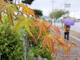 연합뉴스 - News update