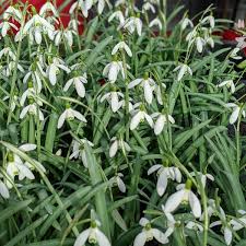 Garten von ehren sat oct 24 2020 at 11:00 am. Photos At Garten Von Ehren Flower Shop