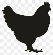It's high quality and easy to use. Chicken Silhouette Clip Art Transparent Png Clipart Images Free Download Clipartmax