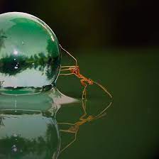 Pin On Photography