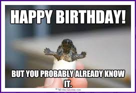 Happy Birthday Memes With Funny Cats Dogs And Animals Funny Birthday Meme Funny Happy Birthday Meme Happy Birthday Meme