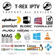 Free iptv ex yu apk. Trex Suscripcion Iptv Frances Aleman Reino Unido Italia Holandes Espana Portugal Turquia Rusia Ex Yu Arabe Para Mag Inteligente Android Pc Tv Telefono Decodificadores Aliexpress