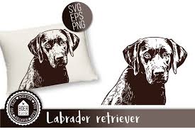 Download Labrador Retriever Graphic By Boertiek Creative Fabrica SVG Cut Files