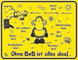 Black veil brides love <3. Ohne Bvb Ist Alles Doof Bvb Dortmund Borussia Dortmund