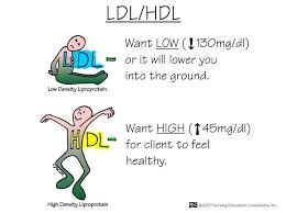 Nursing Mnemonics Ldl Hdl Medications Nursing Nursing Mnemonics Medical Laboratory Science