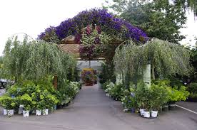 Bauman Farms Gervais Oregon Garden Shop Garden Center Garden Club