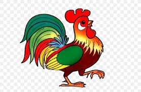 How to paint a rooster with watercolor. Rooster Drawing Chicken Child Pencil Png 699x535px Rooster Art Beak Bird Chicken Download Free