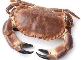 Astice è in offerta sul volantino lidl attivo dal 1 marzo al 7 marzo, lo trovi anche in offerta da conad nel volantino valido dal 29 dicembre al 10 gennaio. Vendita Crostacei Online Costo E Prezzo Crostacei Ilpescatoreonline