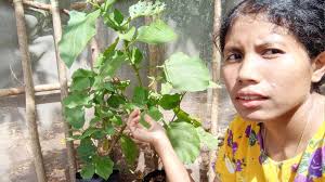 Diaspora Stube-HEMAT