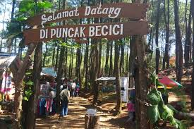Yogyakarta atau selalu disebut sebagai jogjakarta atau jogja sememangnya menarik. 8 Aktivitas Menarik Di Puncak Becici Jogja Yang Sudah Buka Halaman All Kompas Com
