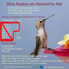 How much water and sugar for hummingbird? Really Important Read On Red Rock Audubon Society Facebook