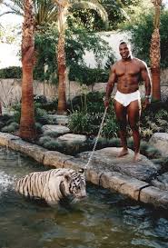 Mike Tyson Offered Zoo Keeper 9 000 To Let Him Fight Silverback Gorilla Mirror Online