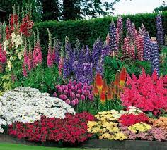 Créer un parterre de fleurs n'est pas compliqué. 1001 Conseils Et Modeles Pour Creer Une Parterre De Fleurs