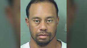 Image result for tiger woods disaster