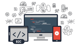 B2C Digital Commerce