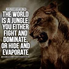 30 Of The Best Lion Quotes In Pictures Motivational Quotes Of Courage Strength Lion Quotes Inspirational Quotes With Images Motivational Quotes For Life