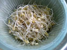 Dalam hal ini bukan tentang tema besar, tetapi turunan dari tema tersebut. Cik Azz Projek Semasa Pkp Projek Tanam Taugeh