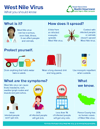 Most people infected with west nile either have no symptoms or experience a mild to moderate illness. West Nile Virus Tacoma Pierce County Health Department